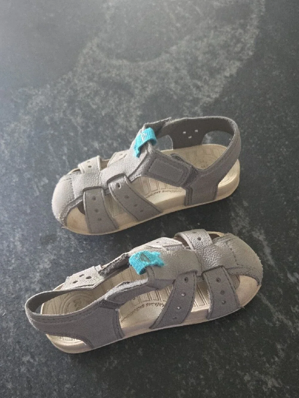 Reef comfortable off
